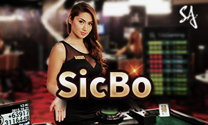 bet premier cassino iOS